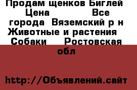 Продам щенков Биглей › Цена ­ 15 000 - Все города, Вяземский р-н Животные и растения » Собаки   . Ростовская обл.